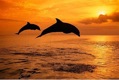 《Old School RuneScape》公布夏日活动和资料片情报