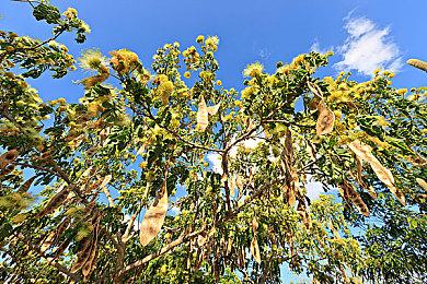 14代酷睿良心i7-14700K出现了！轻松跑到6.3GHz