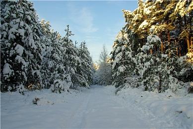 《赵云传重制版》制作团队访谈 | 第一期                         ——全新作