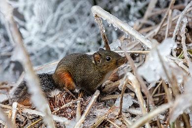 《消逝的光芒2》发布bug修复计划 将在下周更新